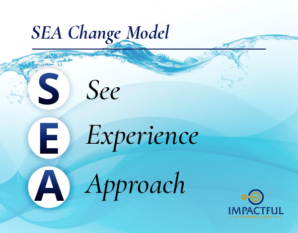 SEA Change Model